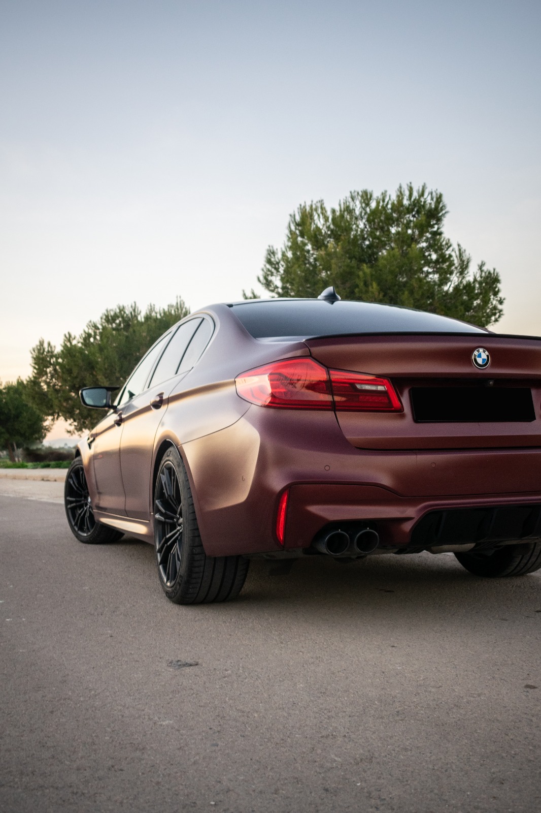 BMW M5
